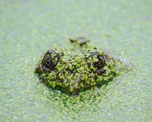 Data centers are amazing. Everyone hates them.