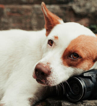 StorySeeker