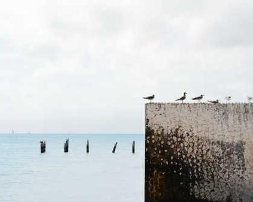 The quest to find out how our bodies react to extreme temperatures