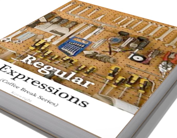 Introduction to Regular Expressions additional image