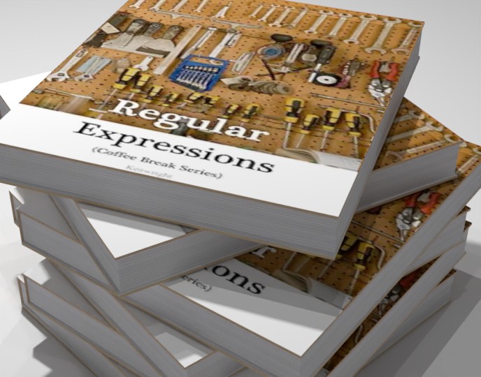 Introduction to Regular Expressions additional image